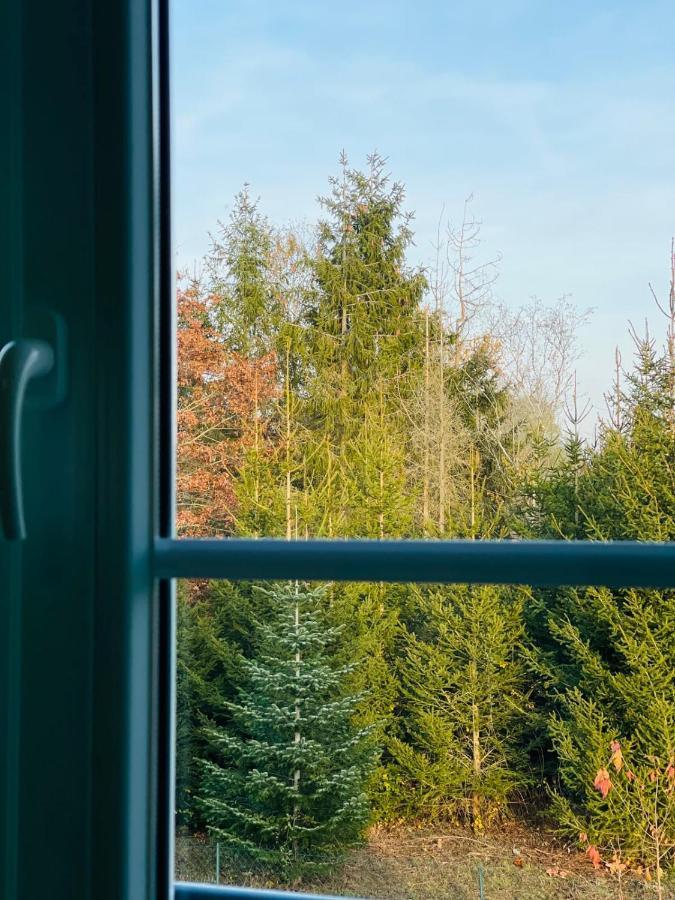 Apartment "Le Briand" Charming Base For Your Sightseeing In Touraine Noizay ภายนอก รูปภาพ